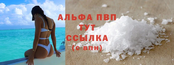 гидра Майский