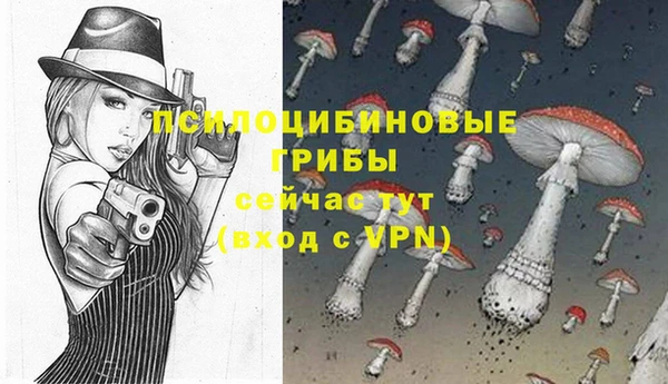 бошки Карпинск