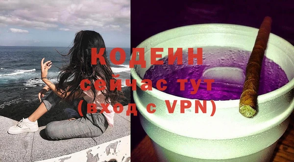 гидра Майский