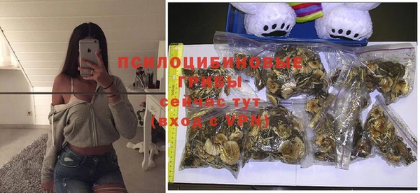не бодяженный Магадан