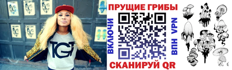 Псилоцибиновые грибы GOLDEN TEACHER  купить наркотик  Райчихинск 